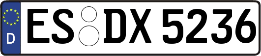 ES-DX5236