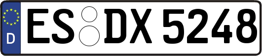 ES-DX5248