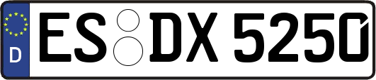 ES-DX5250