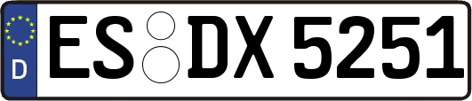 ES-DX5251