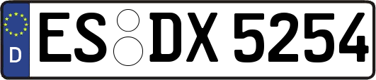 ES-DX5254