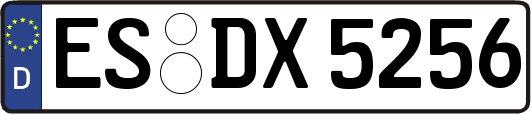 ES-DX5256