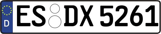 ES-DX5261