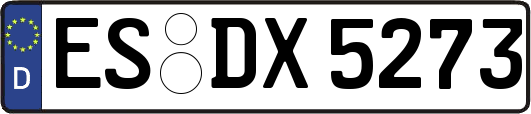 ES-DX5273