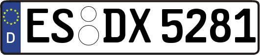 ES-DX5281