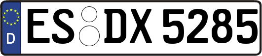 ES-DX5285