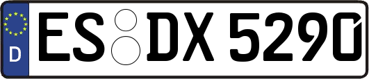 ES-DX5290