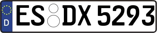 ES-DX5293