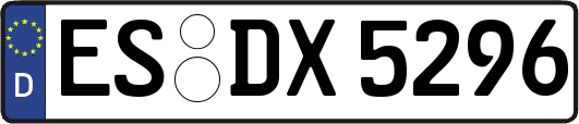 ES-DX5296