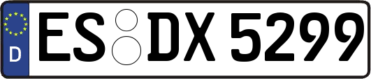 ES-DX5299