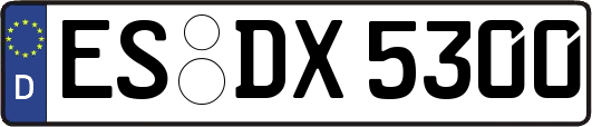 ES-DX5300