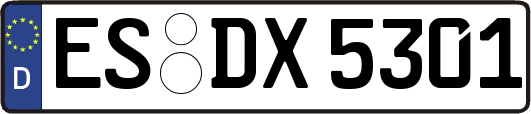 ES-DX5301