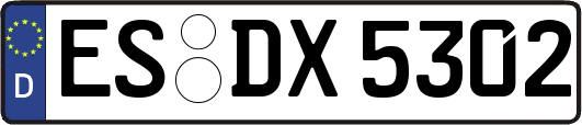 ES-DX5302