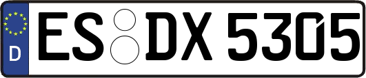 ES-DX5305
