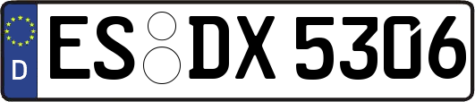 ES-DX5306