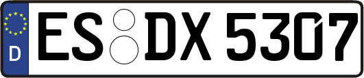 ES-DX5307