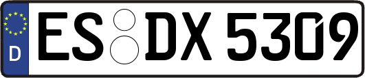 ES-DX5309
