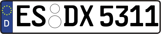 ES-DX5311