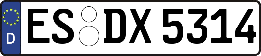 ES-DX5314