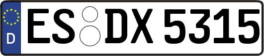 ES-DX5315