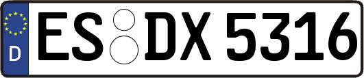 ES-DX5316