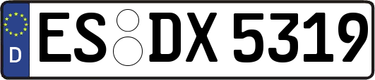 ES-DX5319