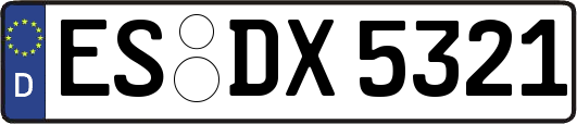 ES-DX5321