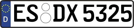 ES-DX5325