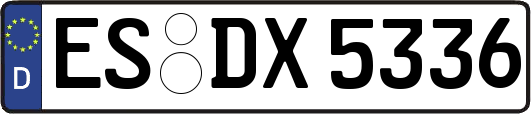 ES-DX5336