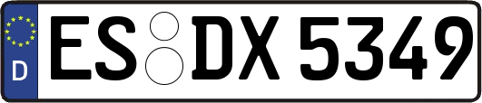 ES-DX5349