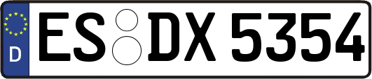 ES-DX5354