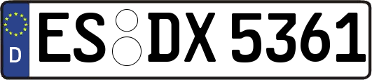ES-DX5361
