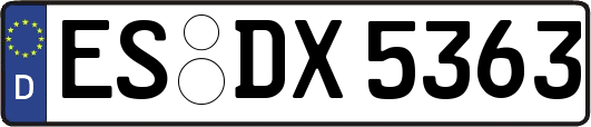 ES-DX5363