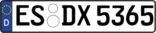 ES-DX5365