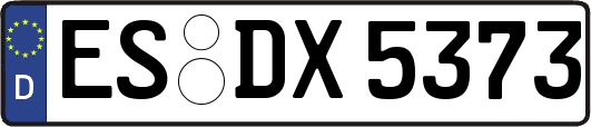 ES-DX5373