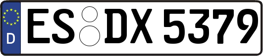 ES-DX5379
