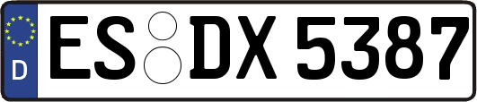 ES-DX5387