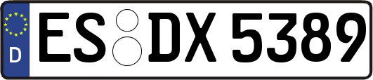 ES-DX5389