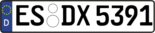 ES-DX5391