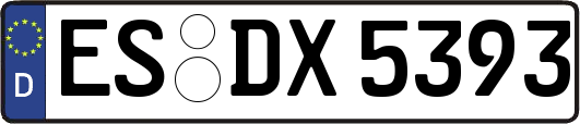 ES-DX5393