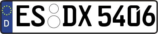 ES-DX5406
