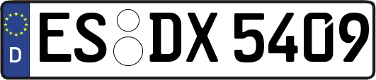 ES-DX5409