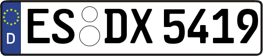ES-DX5419