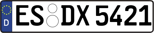 ES-DX5421