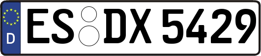 ES-DX5429