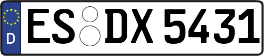 ES-DX5431