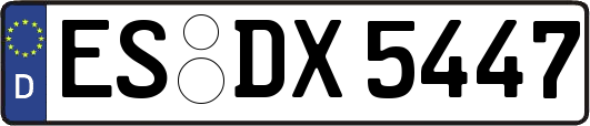 ES-DX5447