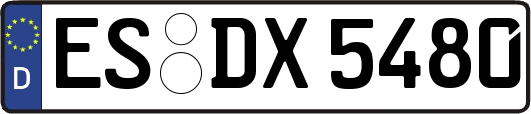 ES-DX5480