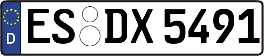 ES-DX5491