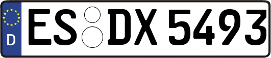 ES-DX5493